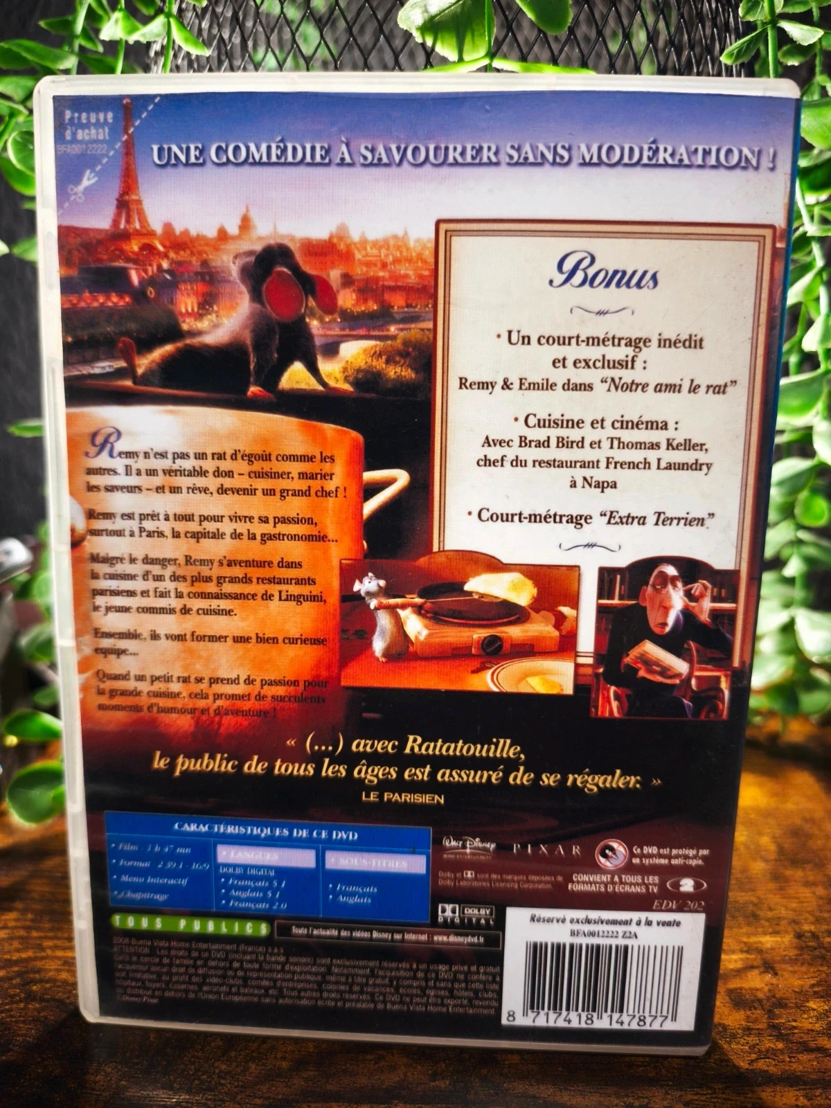 Ratatouille – photo 2